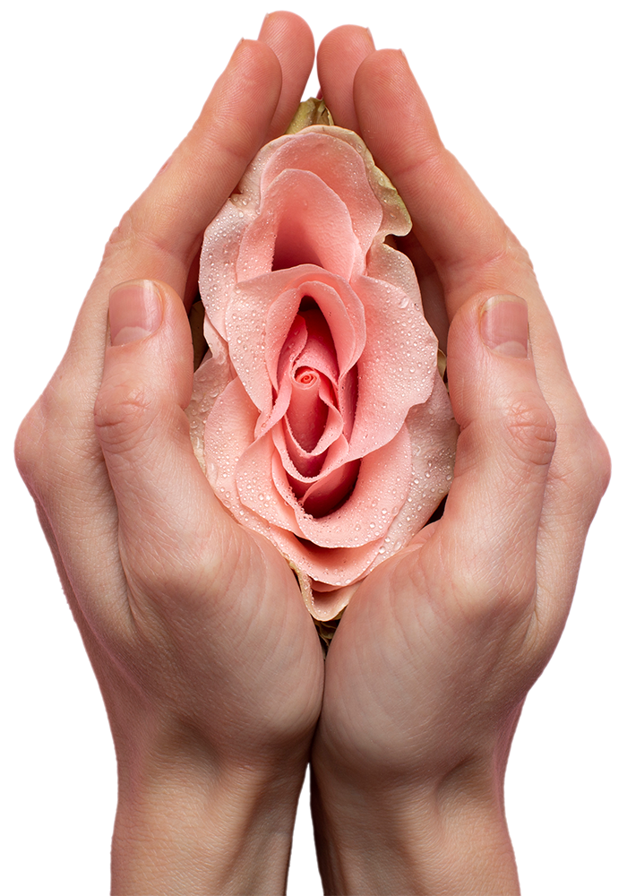 tudoctorafuncional-imagen-mano-petalos-banner-inicial-700x1000